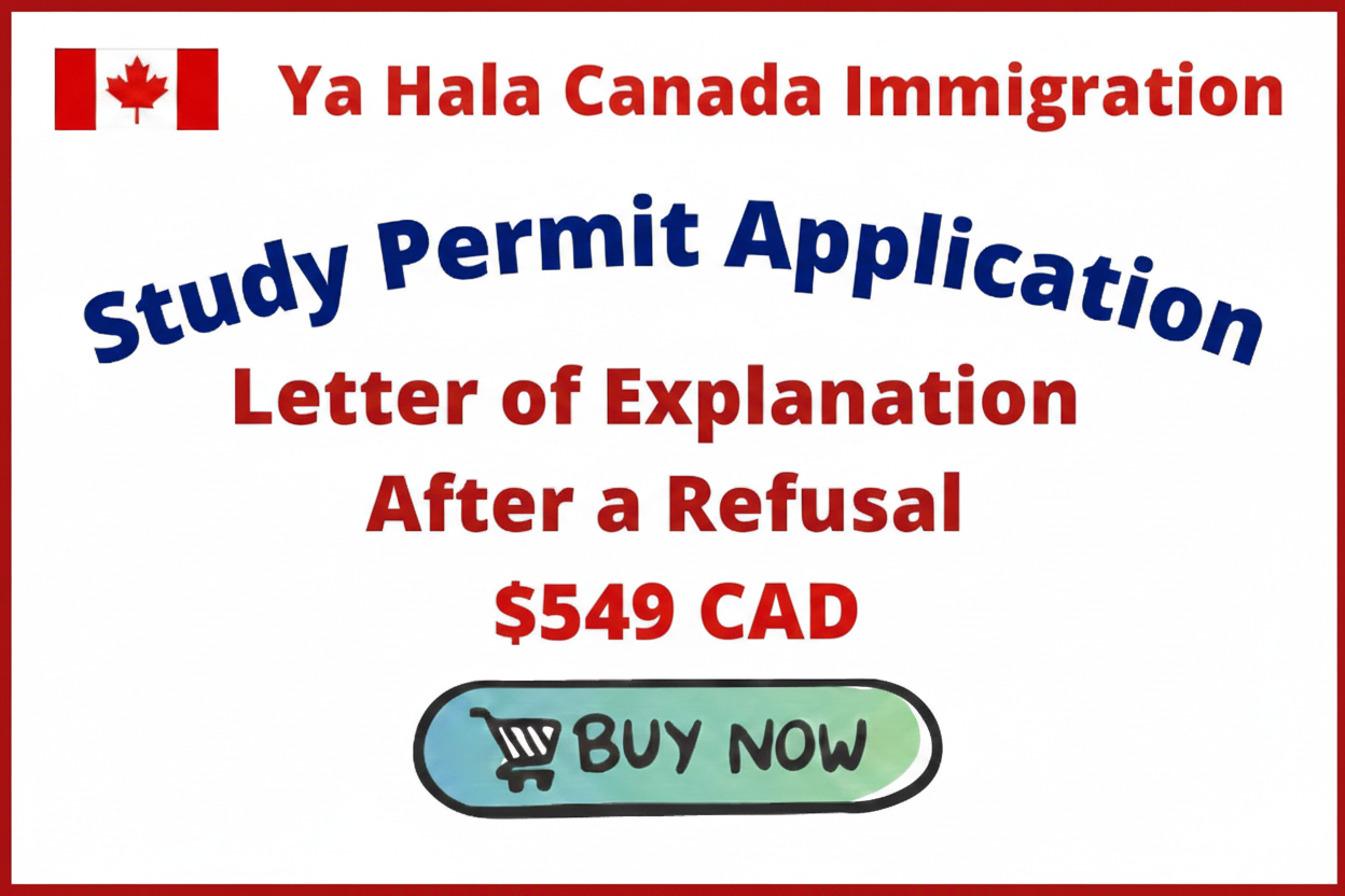 Post-Refusal Study Permit Letter of Explanation (Consultation + Drafting)