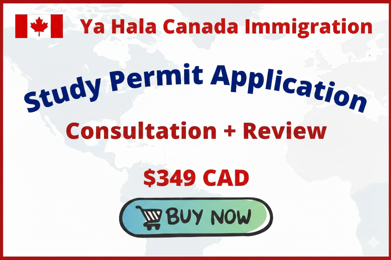 Canada Study Permit Application Consultation + Review